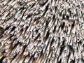 Dense rows of grey weathered roof reeds in an irregular pattern