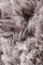 Dense thick grey sheepskin rug fur extreme macro