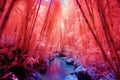 a dense thicket of bamboo shoots in vibrant infrared colors