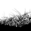 Dense thickets of bushes in the Park on a white background Vector eps10