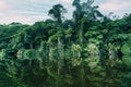 Dense Tropical Rain Forest, river Cano Muerto, Tortuguero, Costa rica Royalty Free Stock Photo