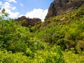 The Densely forested bush hills in Isalo, Madagascar Royalty Free Stock Photo