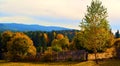 A densely forested village covered with autumn colorful trees and a rustic wooden fence Royalty Free Stock Photo