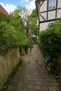 Densely planted small residential alley, typical tourist destination in the medieval old town of Luebeck, Germany