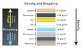 Density and Buoyancy Infographic Diagram relation Royalty Free Stock Photo