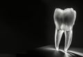 the dental aesthetics in a visually captivating photo. Against a dramatic black background