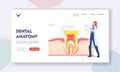 Dental Anatomy Landing Page Template. Tiny Dentist Female Doctor Character in Robe Put Part of Enamel on Huge Tooth Royalty Free Stock Photo