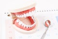 Dental appointment concept. Royalty Free Stock Photo