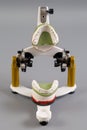 Dental articulator with artificial denture on a gray background