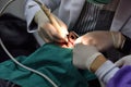 Dental care check up, Dentist examining and doing teeth treatment in dental clinic.