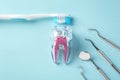 Dental care concept, tooth with toothbrush and dentist instruments on blue background