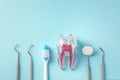 Dental care concept with tooth, toothbrush and dental tools on blue background Royalty Free Stock Photo