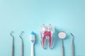 Dental care concept with tooth, toothbrush and dental tools on blue background Royalty Free Stock Photo