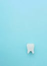 Dental care concept, white tooth model on blue background with copy space
