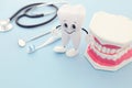 Dental care tools use for dentist, happy healthy teeth and plastic teeth model in the clinic. Wooden blue background. Royalty Free Stock Photo
