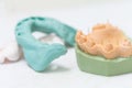 Dental cast model and silicone tray