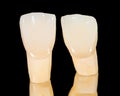 Dental ceramic crowns