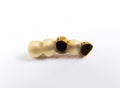 Dental ceramic and gold tooth crowns on white background.