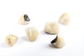 Dental ceramic tooth crowns on white background. Royalty Free Stock Photo