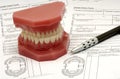 Dental Claim Royalty Free Stock Photo