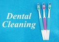 Dental cleaning text with toothbrushes