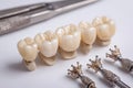 High-Quality Dental Crowns, Implants, and Specialized Instruments Royalty Free Stock Photo