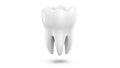 Dental 3d model of premolar tooth as a concept of dental examination teeth, dental health and hygiene. 3d rendering