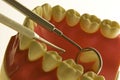 Dental exam Royalty Free Stock Photo