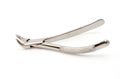 Dental extraction forceps