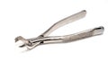 Dental extraction forceps Royalty Free Stock Photo