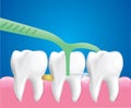 Dental Floss Picks, Dental Cleaning Tool, Dental care concept, Vector