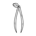 Dental forceps. Linear doodle icon. Dental care, stomatology