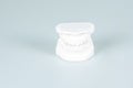 Dental gypsum model of teeth plaster isolated on background