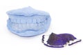 Dental gypsum models and dental brace