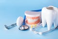 Dental health and teethcare concept. Dental mirror with explorer probe, toothbrush, floss, human jaw model and white tooth with Royalty Free Stock Photo