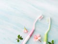 Dental hygiene concept. Toothbrushes, flowers, mint Royalty Free Stock Photo