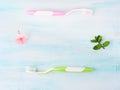 Dental hygiene concept. Toothbrushes, flowers, mint Royalty Free Stock Photo