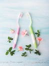 Dental hygiene concept. Toothbrushes, flowers, mint Royalty Free Stock Photo