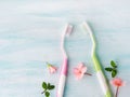 Dental hygiene concept. Toothbrushes, flowers, mint Royalty Free Stock Photo