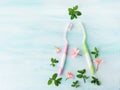 Dental hygiene concept. Toothbrushes, flowers mint Royalty Free Stock Photo
