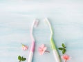 Dental hygiene concept. Toothbrushes, flowers mint Royalty Free Stock Photo