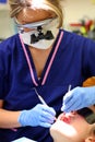 Dental Hygienist At Work