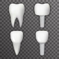 Dental Implant Realistic 3d Tooth Poster Transperent Stomatology Icon Template Background Mock Up Design Vector