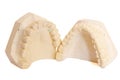 Dental impression 5 Royalty Free Stock Photo