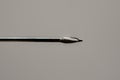 Dental instrument - endodontic dental bur Royalty Free Stock Photo