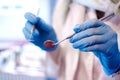 Dental instruments in the hands of the doctor. Dentist in sterile latex gloves holding dental tools, close up. Royalty Free Stock Photo