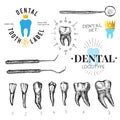 Dental labels and icons set. Vector