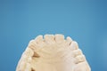 Dental laboratory Royalty Free Stock Photo