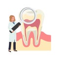 Dental medical , teeth check up concept. female Dentist with a big magnifying and teeth. searching anatomy of tooth. Flat vector