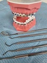 Dental model with colorful braces and examination tools displayed Royalty Free Stock Photo